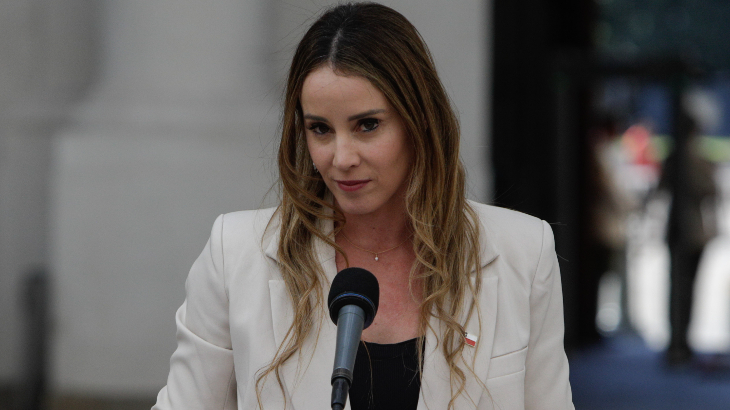 Ministra Mara Sedini declara patrimonio superior a $1.000 millones en bienes raíces y sociedad