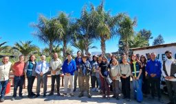 Programa de Arborización Urbana 2026: Se entregarán 18 mil plantas a los 52 municipios de la Región Metropolitana