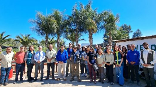 Programa de Arborización Urbana 2026: Se entregarán 18 mil plantas a los 52 municipios de la Región Metropolitana