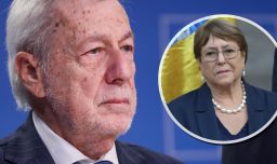 Van Klaveren apunta "pequeñez del Gobierno" al no apoyar candidatura de Bachelet a la ONU: Es "un orgullo para Chile"