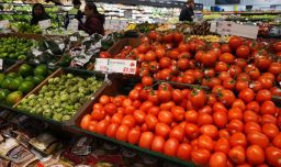 El precio de los tomates en Estados Unidos se ha disparado: Estas son las principales razones