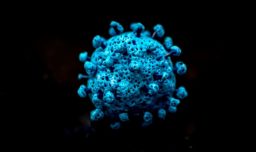 Variante "cigarra" del COVID-19: Científicos dicen que afecta principalmente a los niños