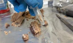 Estudio del INTA detectó que conservas chinas rotuladas como jurel en realidad eran caballa