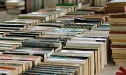 Panoramas gratuitos en abril de 2026: Ferias del libro en Santiago, Providencia y Macul, y Carnaval del Cómic en Lo Barnechea