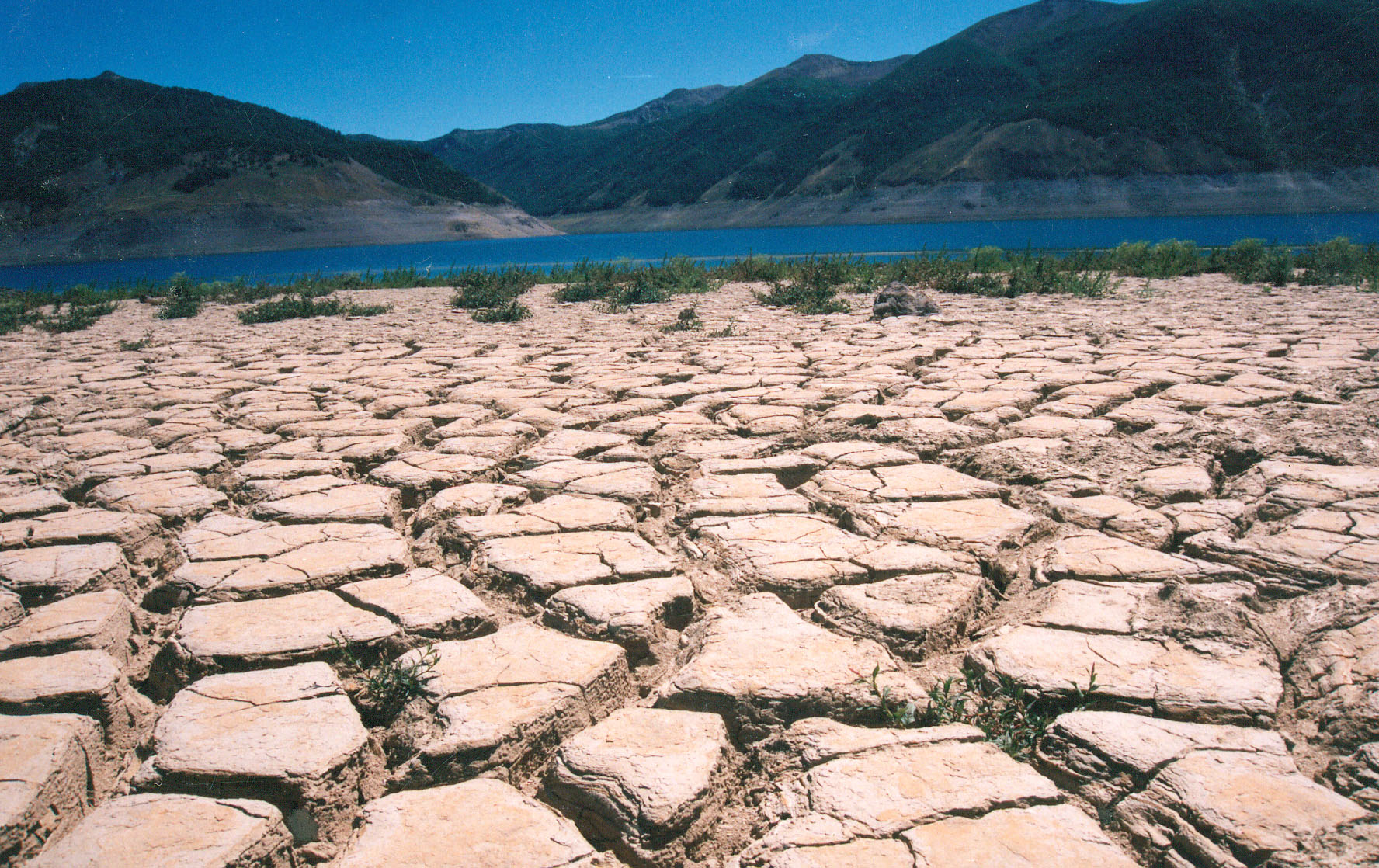 Las víctimas de la sequía en Chile, uno de los países con más agua por  persona en el mundo