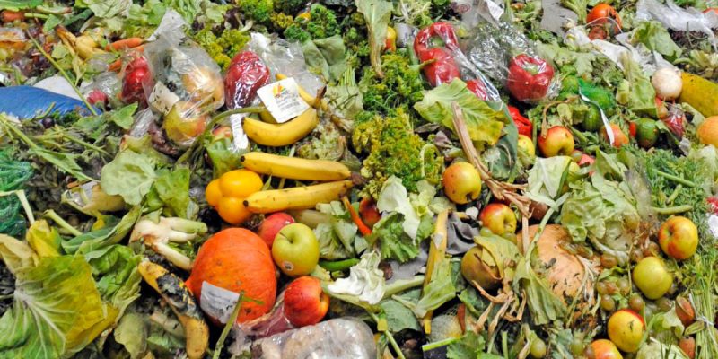 1.300 toneladas de comida terminan en la basura cada año: ¿Cómo la estamos  desperdiciando?