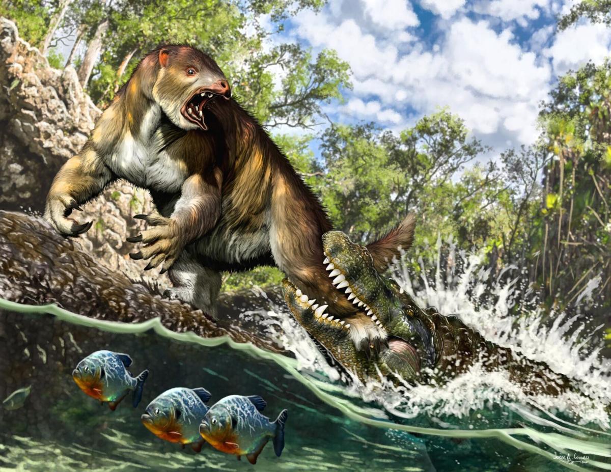 haz rizo Brillar Fósiles de hace 13 millones de años revelan la mordida más poderosa de la  historia animal
