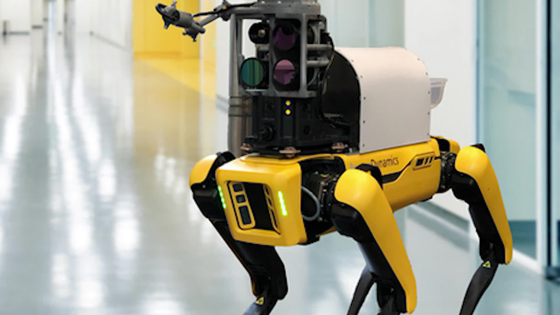 Investigadores crean un “perro robot” capaz de medir signos vitales a 2