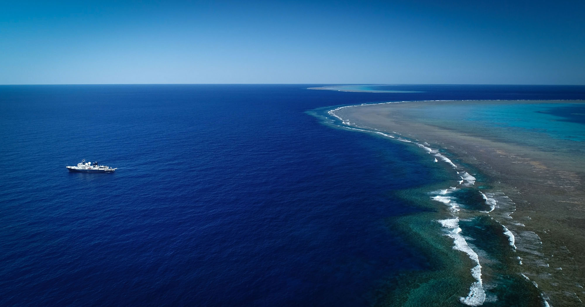 m-s-grande-que-el-empire-state-descubren-enorme-arrecife-de-coral-en