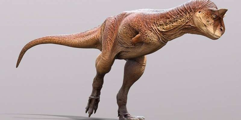 Investigadores descubren cómo era la piel del dinosaurio patagónico  Carnotaurus