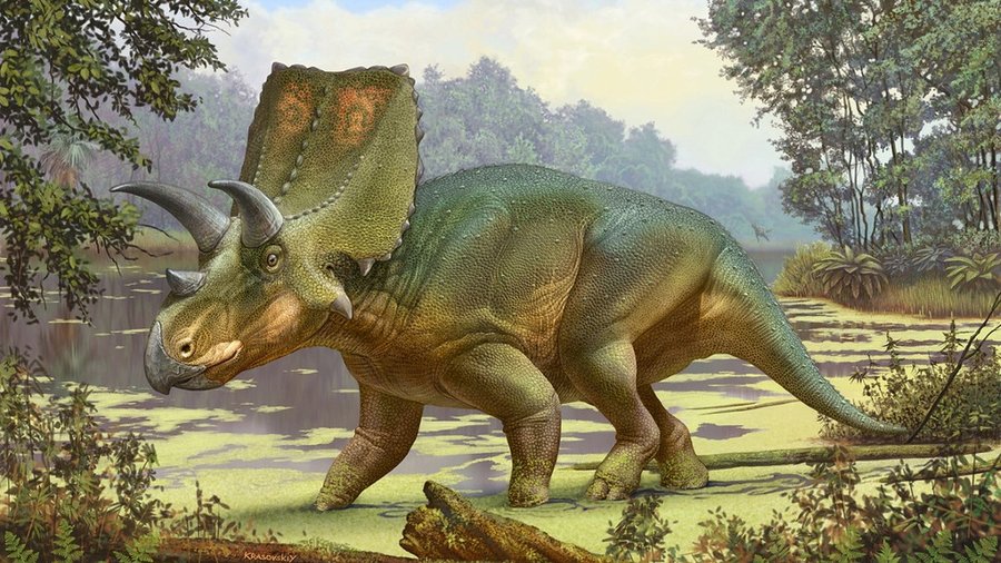 Sierraceratops turneri: Descubren un “pariente perdido” del Triceratops en  Nuevo México