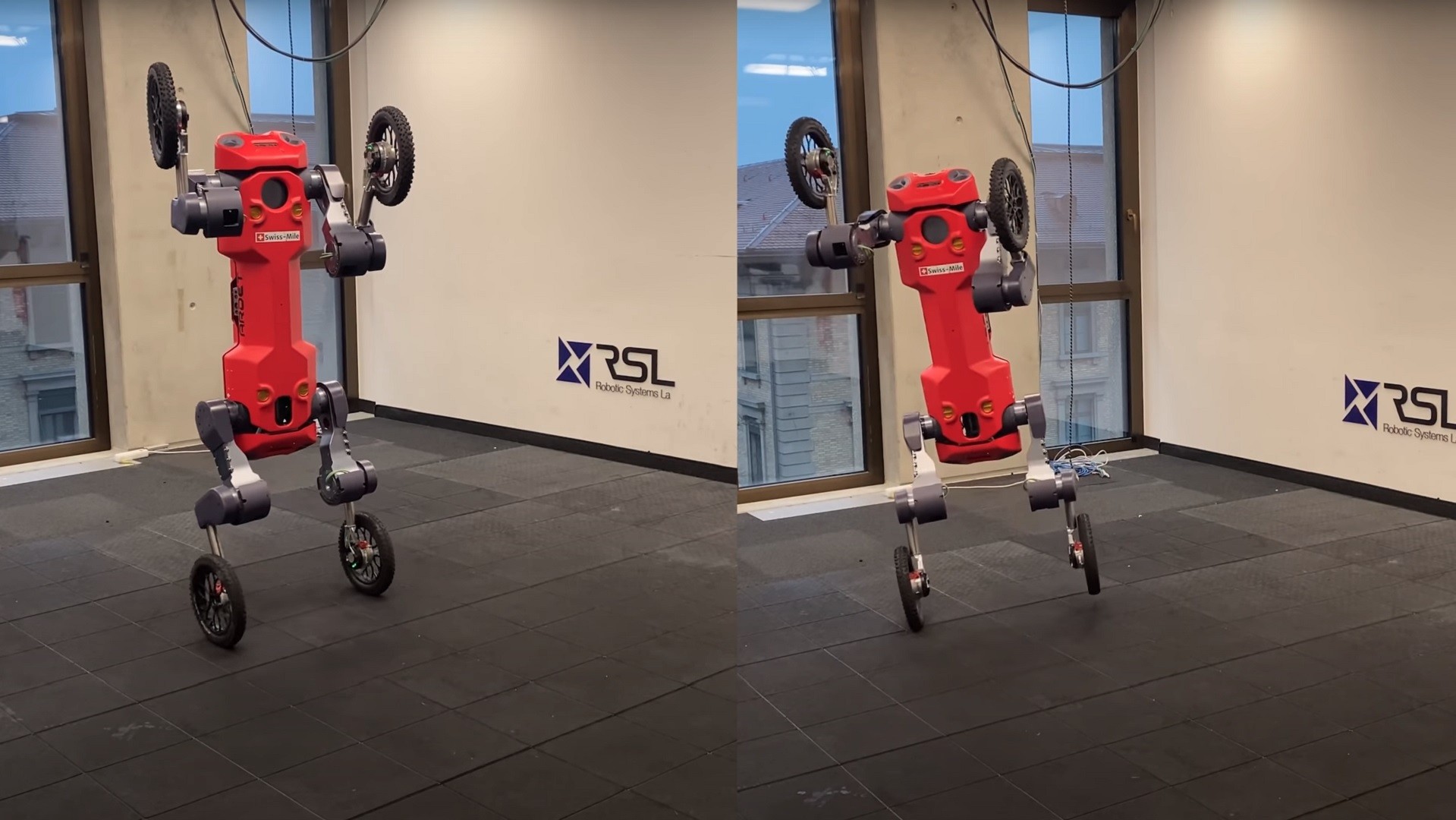 Robot cuadrúpedo puede ponerse de pie, pese a tener ruedas en sus cuatro patas