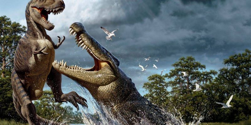 Descubren restos de un dinosaurio al interior de especie de cocodrilo  recién descubierta en Australia