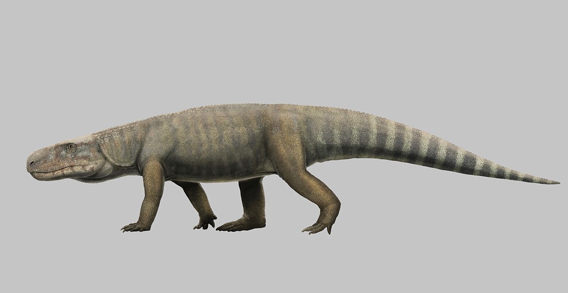 Descubren el fósil de un terrorífico cocodrilo “asesino de dinosaurios”