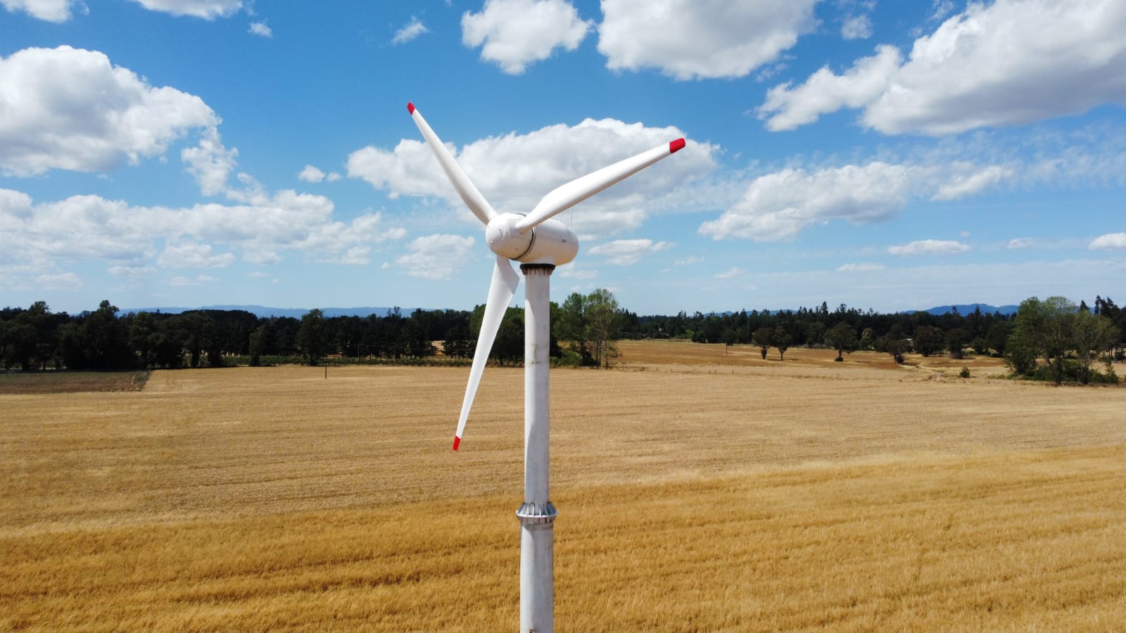 Inauguran turbina eólica capaz de generar mayor energía a bajas