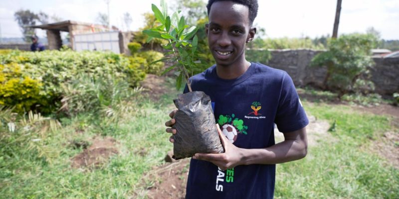 Por cada gol se plantan 11 árboles: Joven keniano busca la atención de la  FIFA para combatir la deforestación