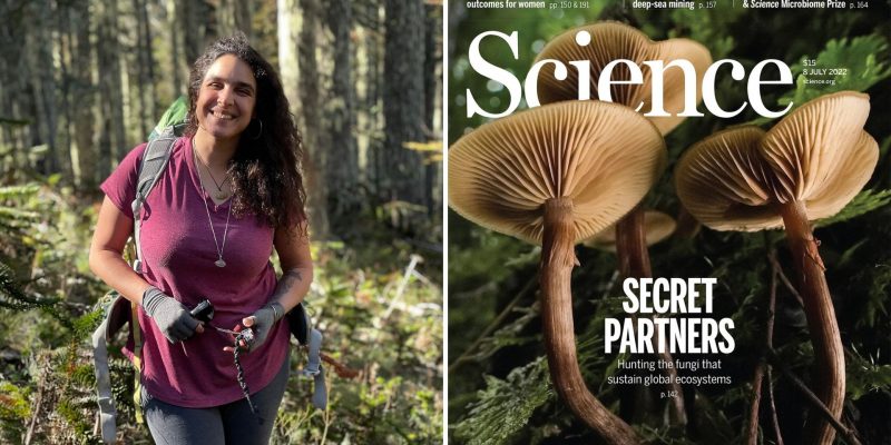Fundación Fungi y diversidad de hongos chilenos destacan a nivel  internacional en portada de la revista Science
