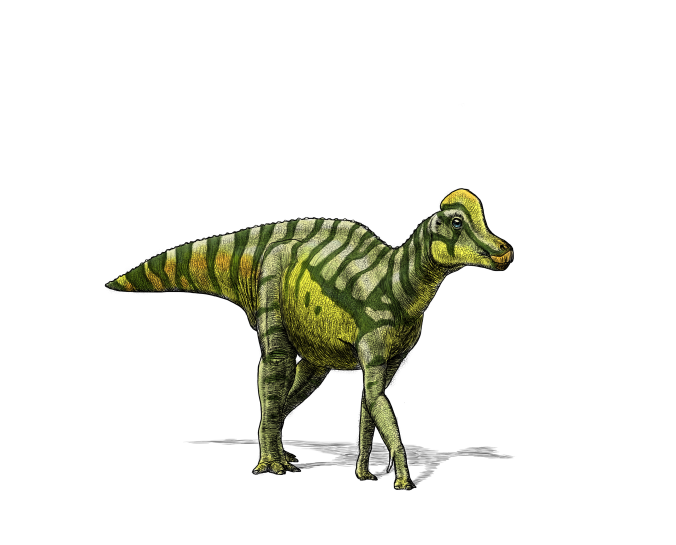 Increíble! Descubren en Canadá el fósil de un dinosaurio con su piel bien  conservada