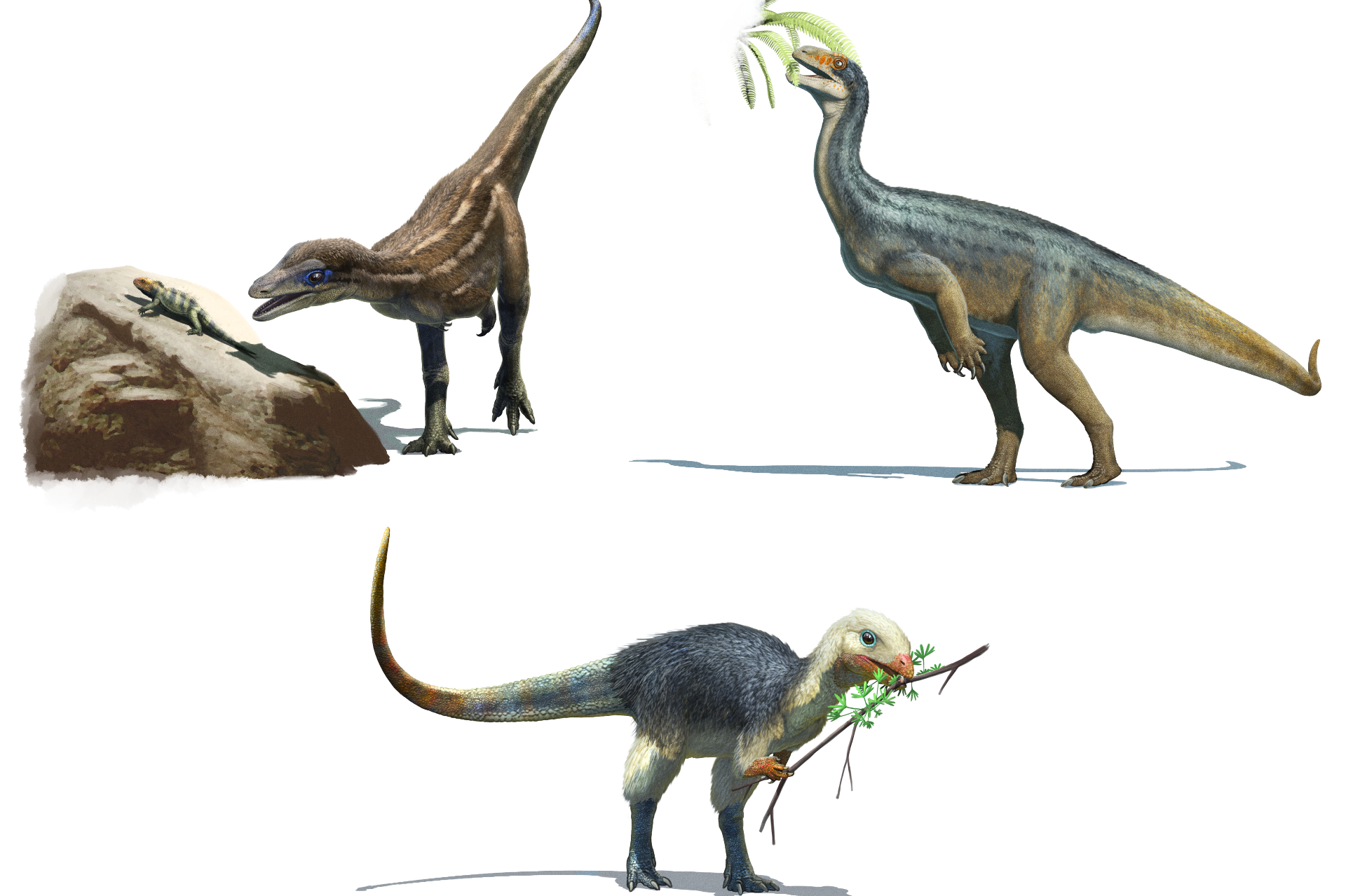 Investigación revela que los ancestros de los dinosaurios herbívoros comían  carne originalmente