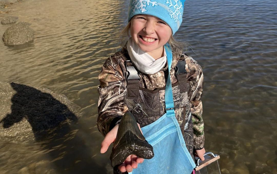 Nine-year-old girl found a large megalodon tooth on a Maryland beach