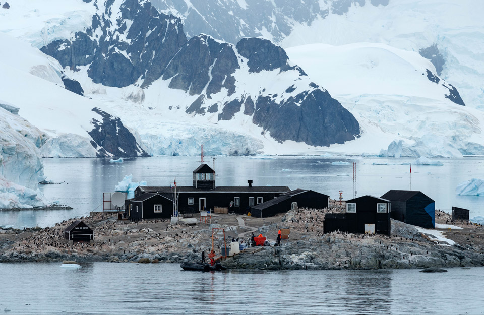 Día de la Antártica Chilena: ¿Qué estamos haciendo para cuidar nuestro ...